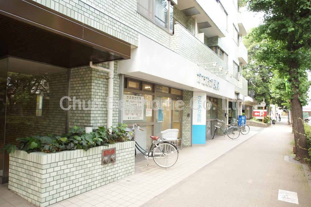 Other. Kataoka clinic