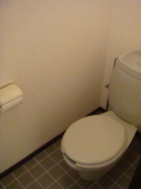 Toilet. Clean toilet