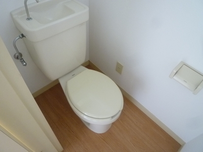 Toilet. Clean your toilet