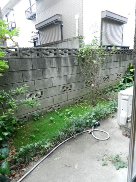 Other room space. It has become in the garden before the eyes