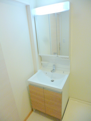 Washroom. Independent wash basin with shampoo dresser