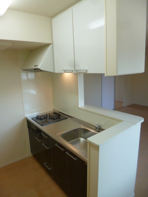 Kitchen. Counter kitchen up and down some of the storage