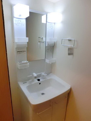 Washroom. Independent wash basin