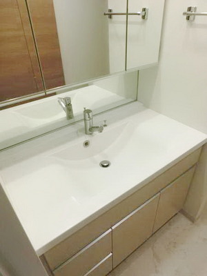 Washroom. Wash basin