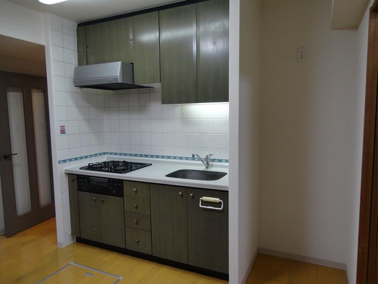 Kitchen. Indoor (11 May 2013) Shooting