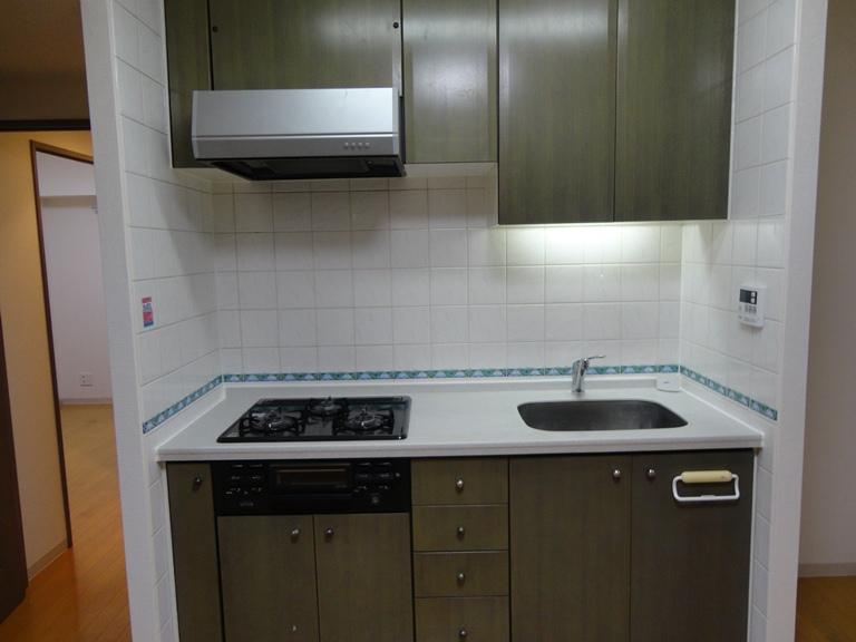 Kitchen. Indoor (11 May 2013) Shooting