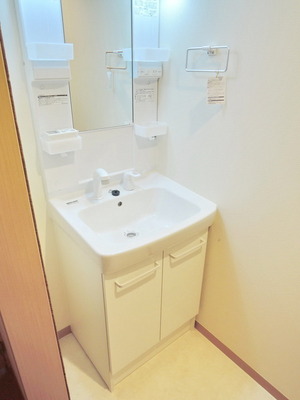 Washroom. Shampoo dresser