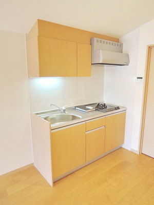 Kitchen. Two-burner gas system Kitchen