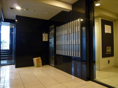 Entrance. Fashionable entrance