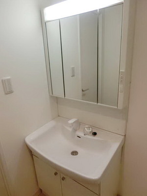 Washroom. Wash basin