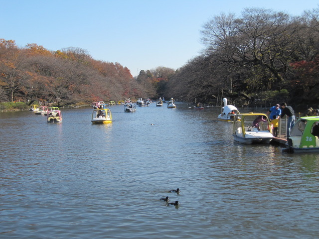 park. 1650m to Inokashira Park (park)