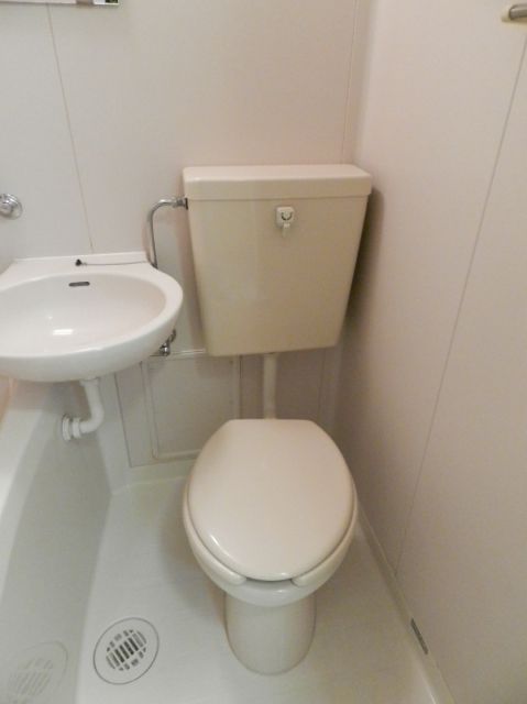 Toilet. Toilet