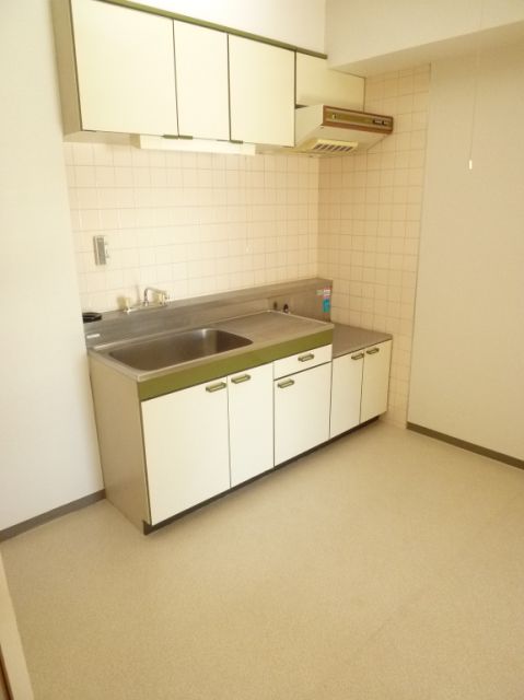 Kitchen. Two-burner gas stove can be installed