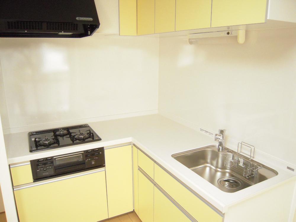 Kitchen. Indoor (July 2013) Shooting