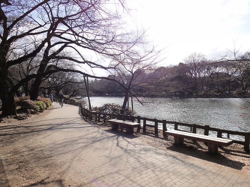 park. 1000m to Inokashira Park (park)