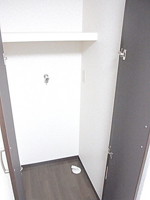 Washroom. Washing machine in the room