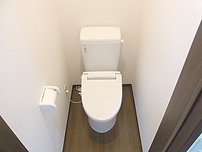 Toilet. Toilet