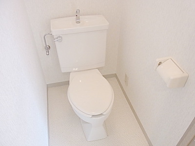Toilet. Bathroom