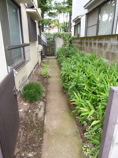 Entrance. It has also been landscaped planting!