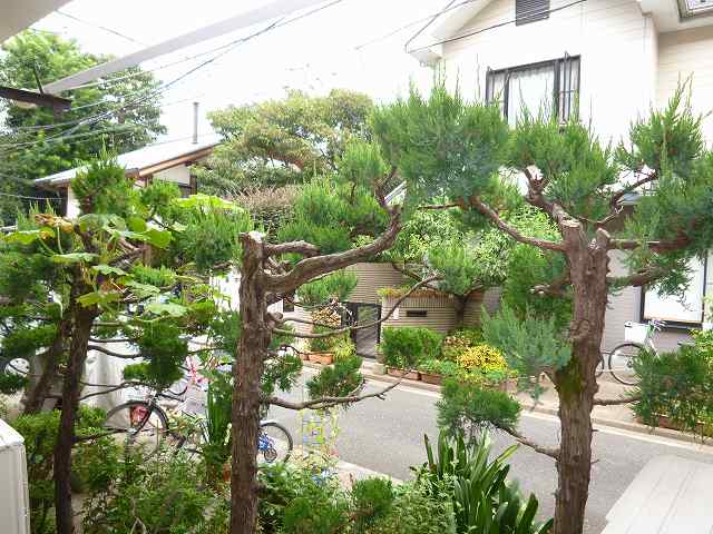 View. Is the view from the room!