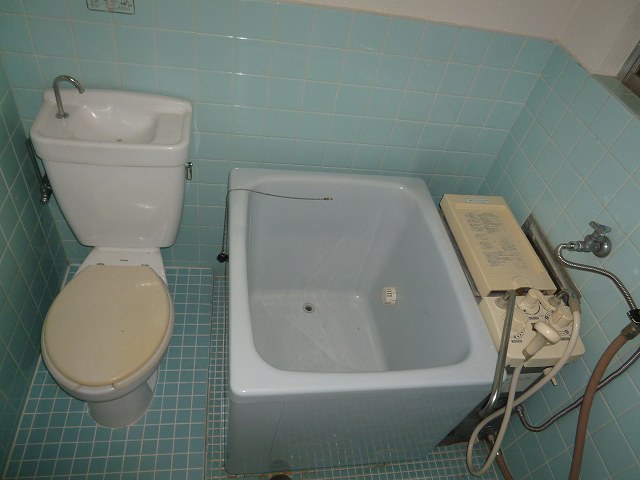 Toilet. Western-style toilet!