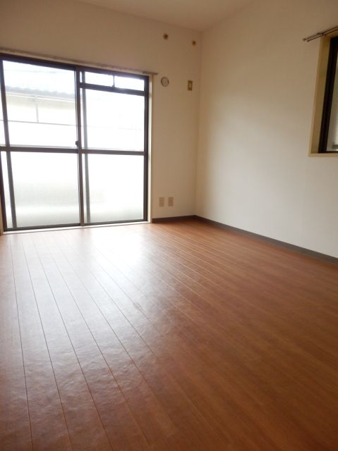 Living and room. Flooring of the room