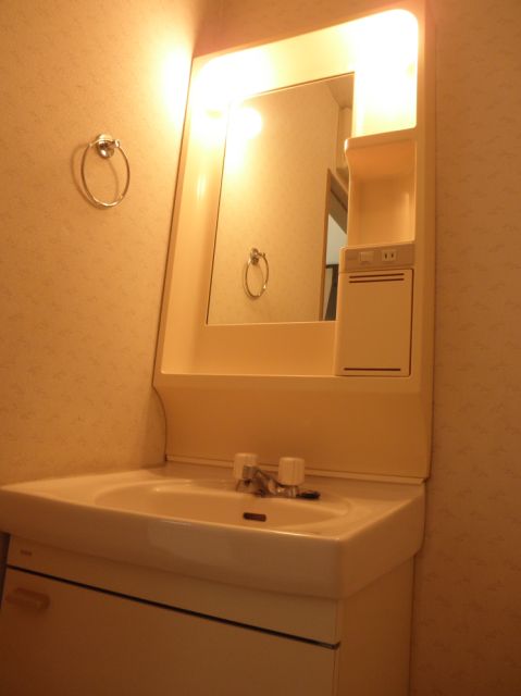 Washroom. Washing machine storage and wash basin in the dressing room.