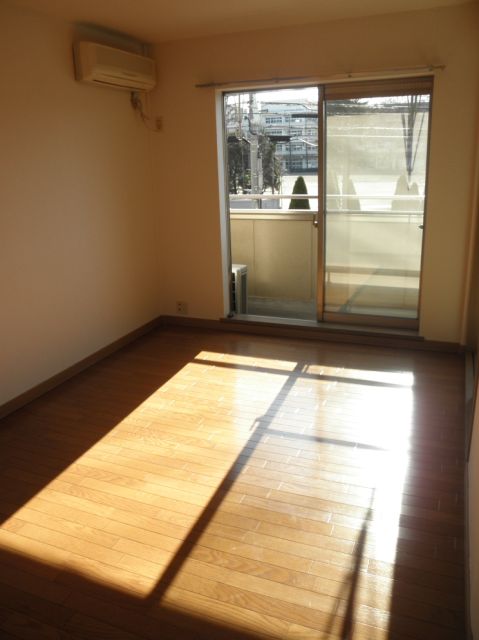 Living and room. Sunny Interoceanic.