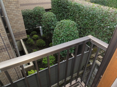 View. View from the balcony