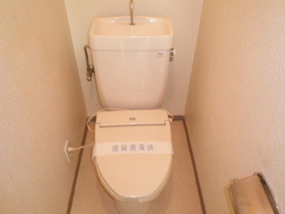 Toilet. With warm toilet seat function