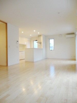 Living and room. Kitchen