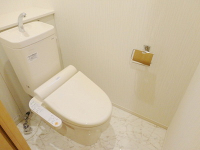 Toilet. First floor toilet