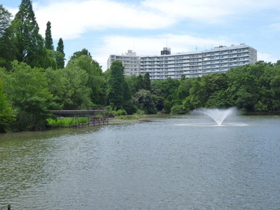 Other. Inokashira Park until the (other) 1300m