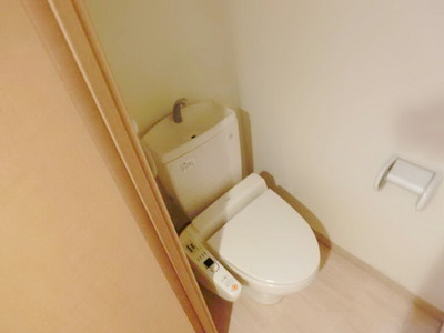 Toilet. Toilet