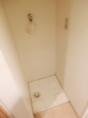 Washroom. Laundry Area