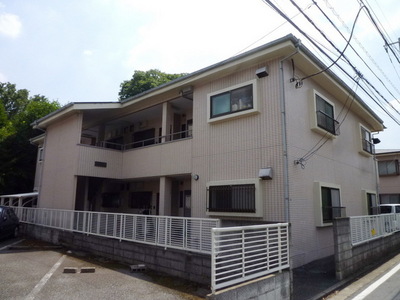 Building appearance. Steel Mansion