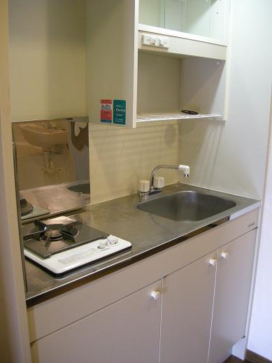 Kitchen. Single person of refrigerators and washing machines are not bothering yard