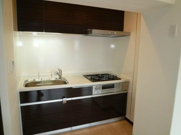 Kitchen. Indoor (11 May 2013) Shooting