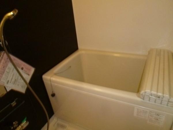 Bathroom. Indoor (11 May 2013) Shooting