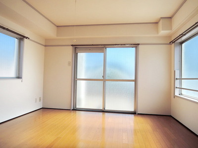 Other room space. Western style room