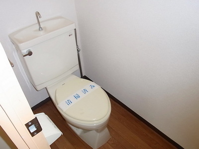 Toilet. Toilet
