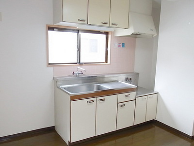 Kitchen. Gas stove installation Allowed (town gas)