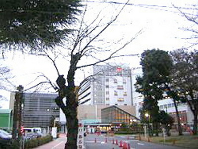 Hospital. Musashinosekijujibyoin until the (hospital) 480m