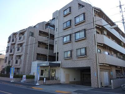 Local appearance photo. Local (12 May 2013) Shooting