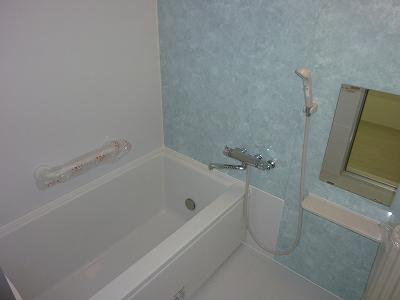 Bathroom. Indoor (12 May 2013) Shooting