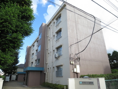 Building appearance. Appearance 2