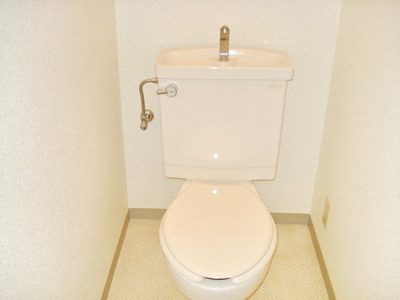 Toilet. Toilet