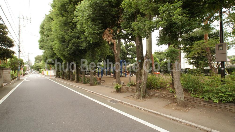 Other. Disguised park