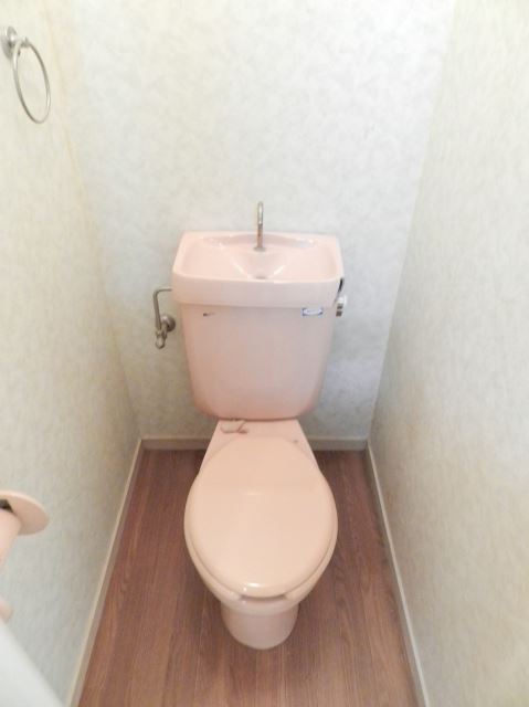 Toilet. Toilet