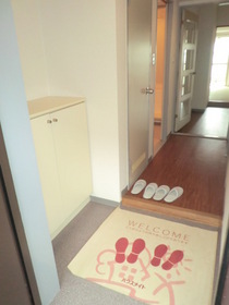 Entrance. There shoes putting the entrance